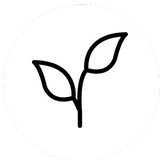 organic beef tallow