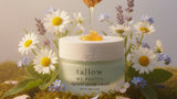 Beef Tallow on Your Lips? Why Derms Are Quietly Approving — Tallow Me Pretty
