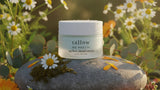 Beef Tallow for Eczema: A Skin Barrier Approach That Works — Tallow Me Pretty