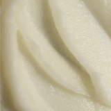 Tallow and Honey Balm