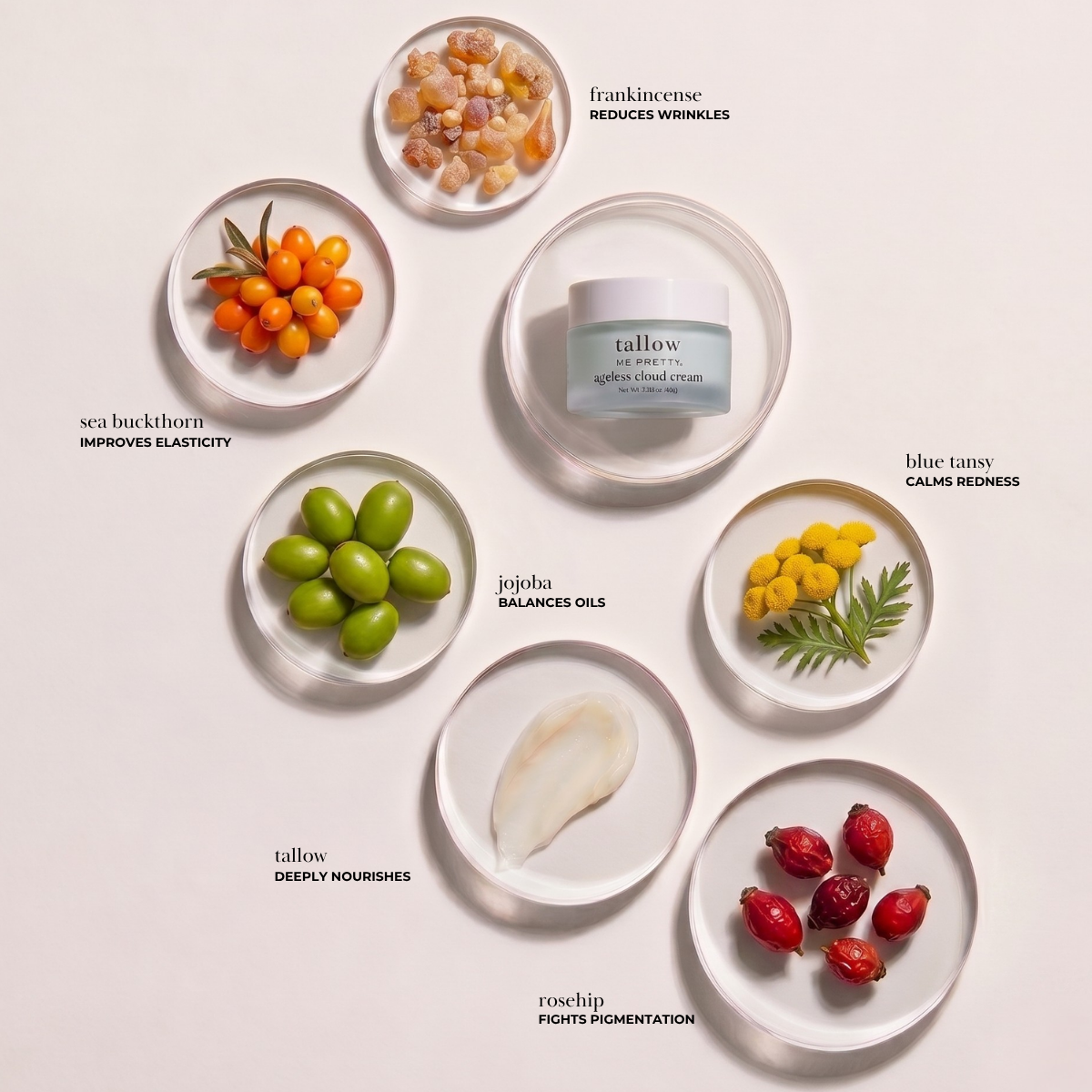 A skincare jar labeled 'tallow' arranged on a light beige background with six small white plates around it, each holding a natural ingredient: orange berries, green olives, a jojoba nut, yellow flowers, red rose hips, and a white patch of skin. Text labels identify the ingredients and their benefits.