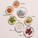 A skincare jar labeled 'tallow' arranged on a light beige background with six small white plates around it, each holding a natural ingredient: orange berries, green olives, a jojoba nut, yellow flowers, red rose hips, and a white patch of skin. Text labels identify the ingredients and their benefits.