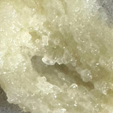 Citrus Tallow Scrub 🎁 Buy 1 get 1 FREE